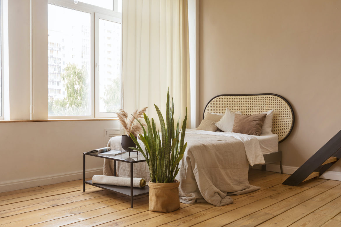 Pflanzen im Schlafzimmer Die Top 10 Zimmerpflanzen für guten Schlaf