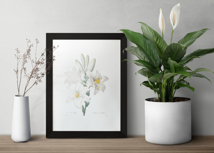 Stilvolles Arrangement im Wohnzimmer mit Pflanze und Bild